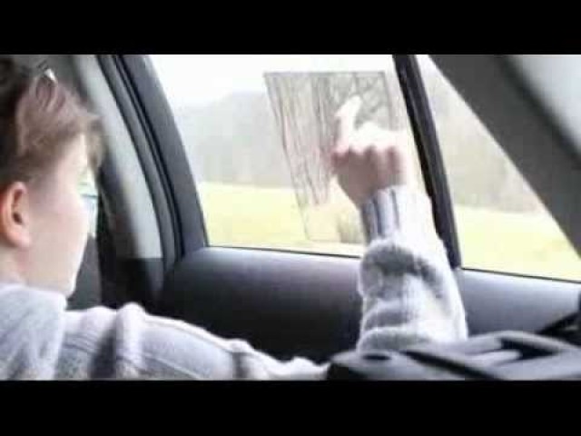 Toyota Window to the world - multimedia system