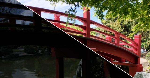 Google&rsquo;s New Algorithm Perfects Photos Before You Even Take Them