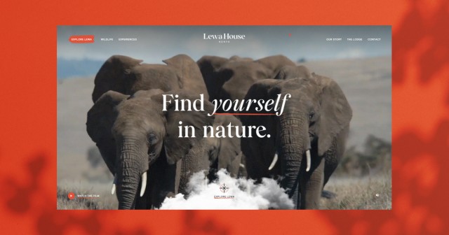 Lewa House - Wild Experience, Wild Landscape, Wild Life